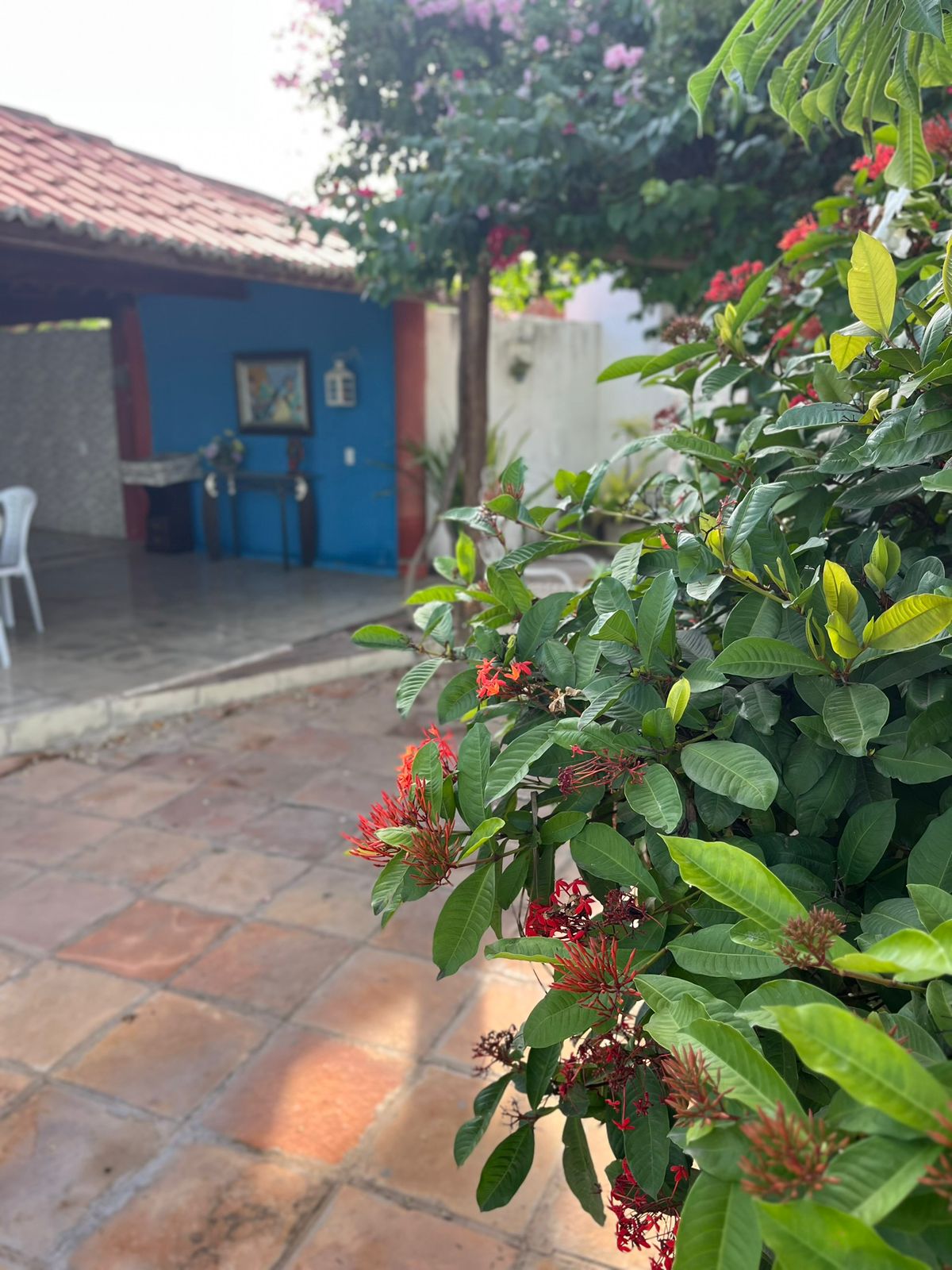 Área coberta de convivência