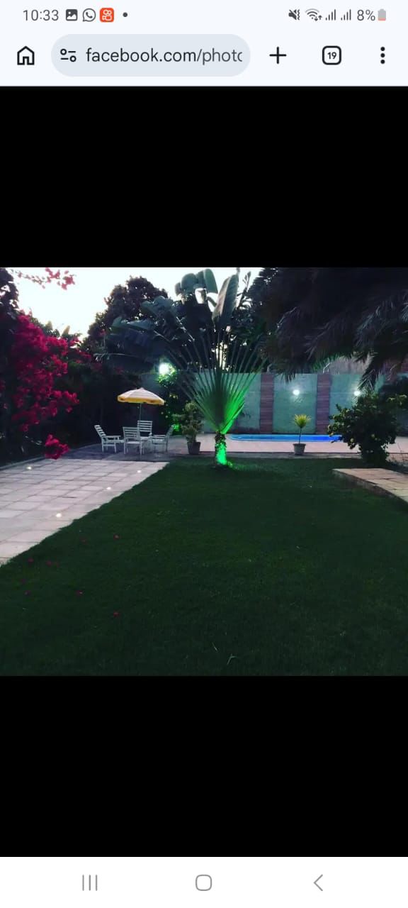 Jardim noturno iluminado