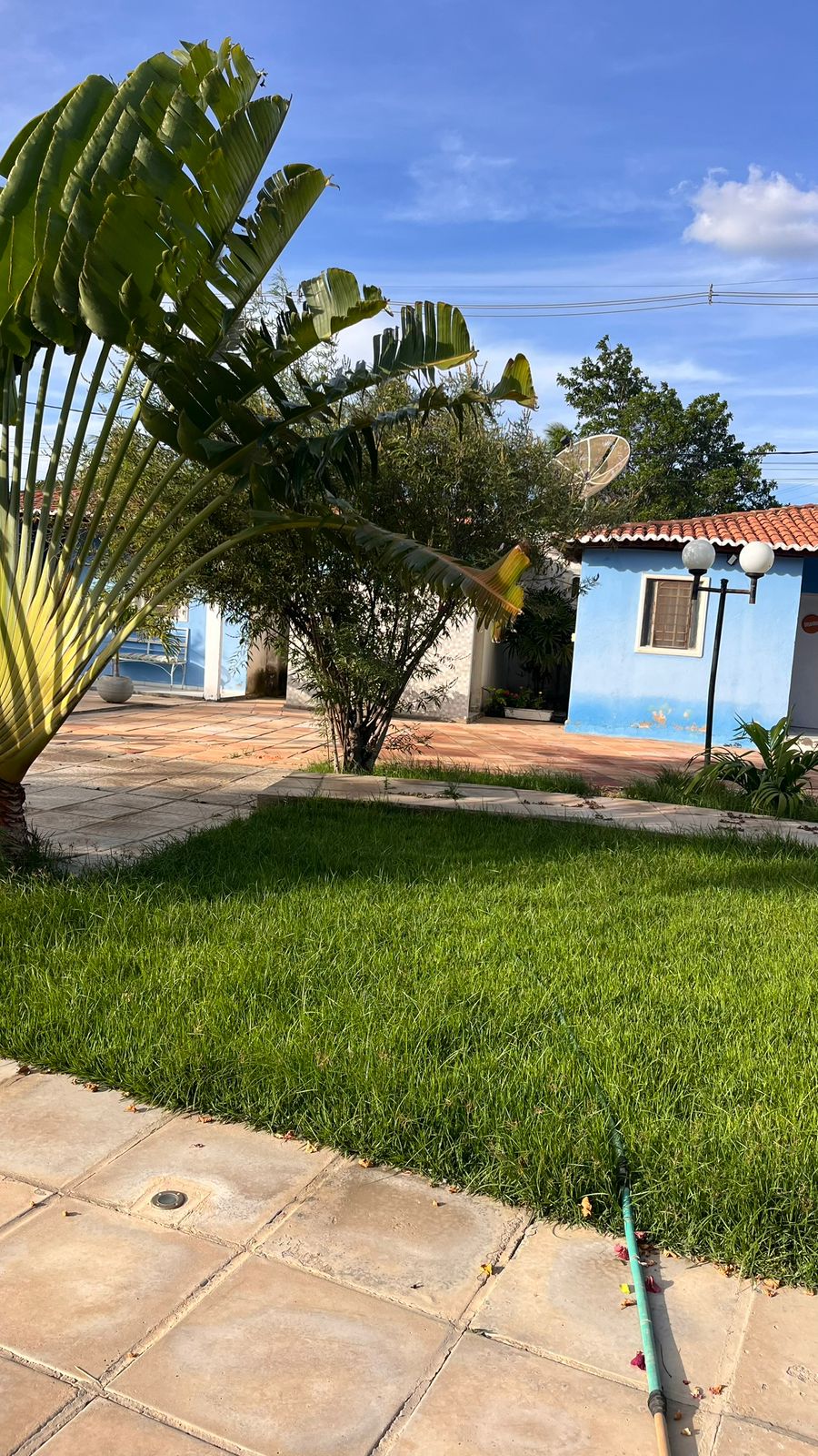 Pátio com palmeiras e jardim florido