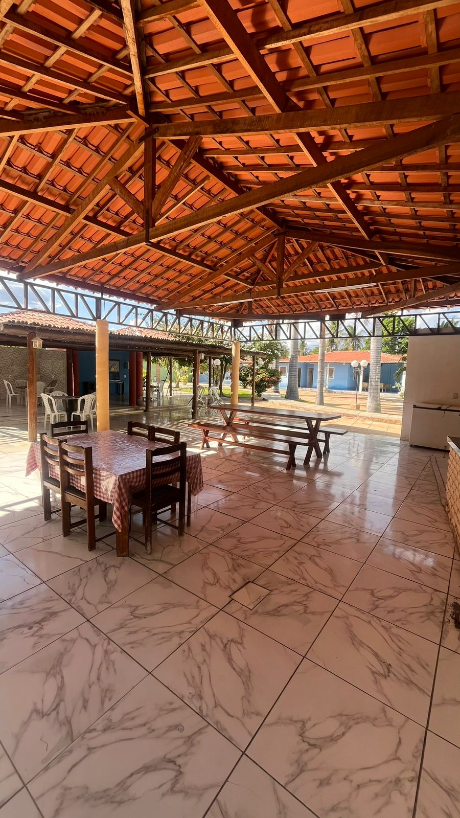Jardim ao fundo com palmeira viajante